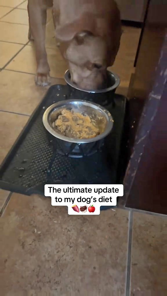 Take 50% OFF your first trial + Personalized Plan for Your Pup!

:🥩 Whole food ingredients
✨ Costs 40% less than frozen fresh
🌱 Fresh without the fridge
👩‍⚕️ Vet-developed & nutritionally complete
📦 Delivered to your doo