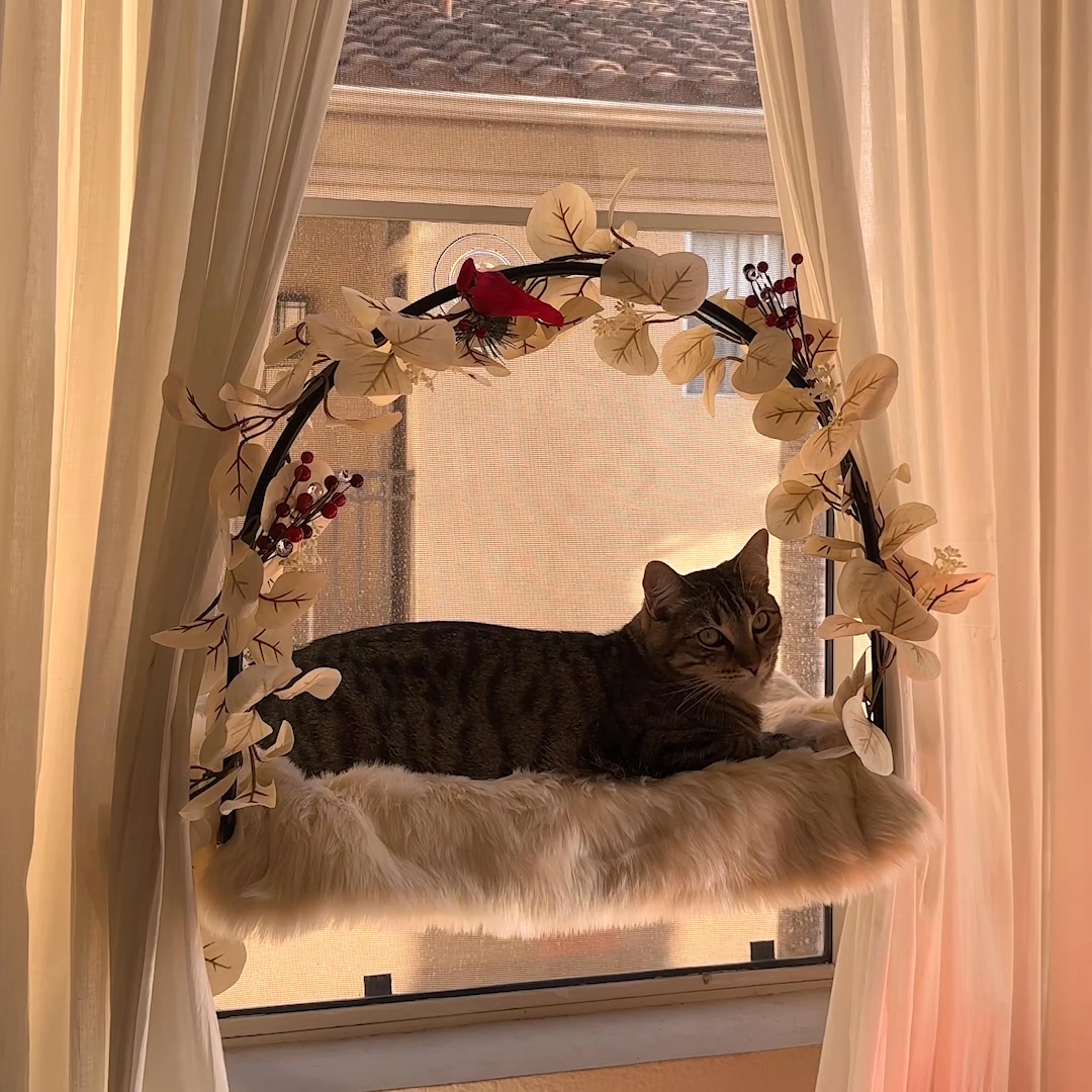 This window hammock is INCREDIBLE! Here's what makes the Cloud 9 so greathammock:

☁️ Steel tubes won’t shift, twist, squeak or sag
☁️ Supports up to 30 lbs with powerful suction cups
☁️ Soft, durable felt hammock is eas