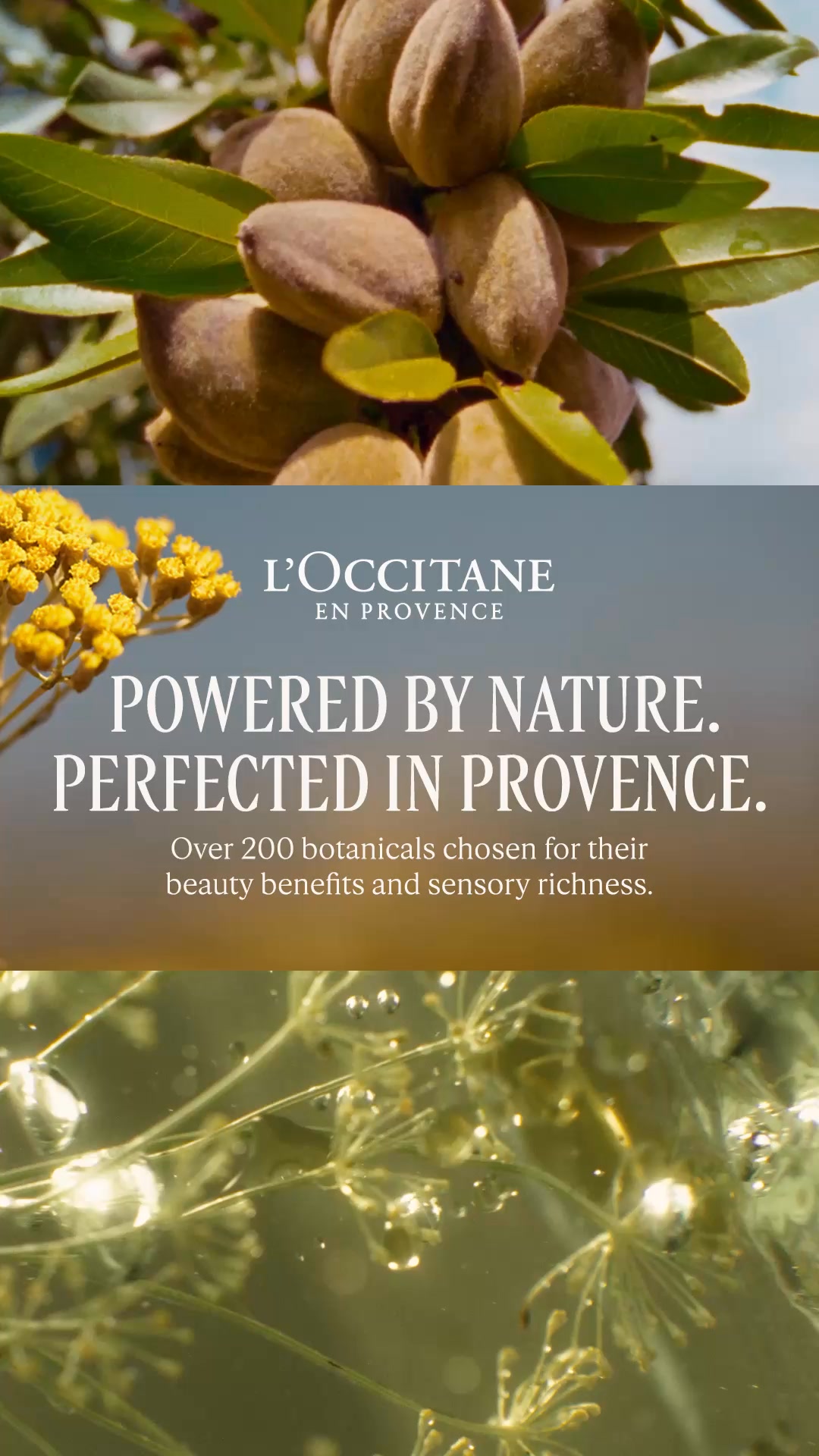 From Provence, With Love