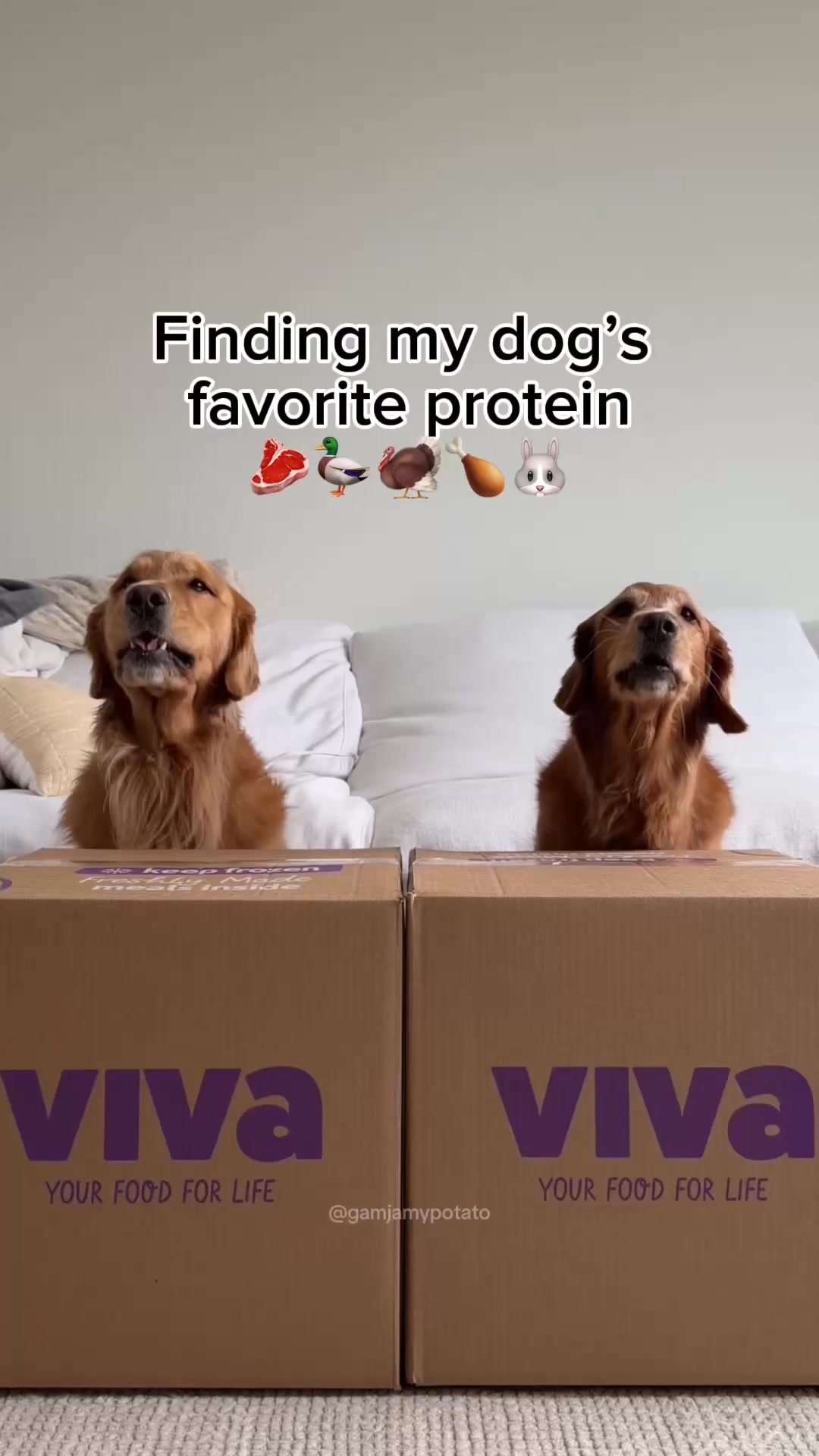 The Taste Test Results Are In