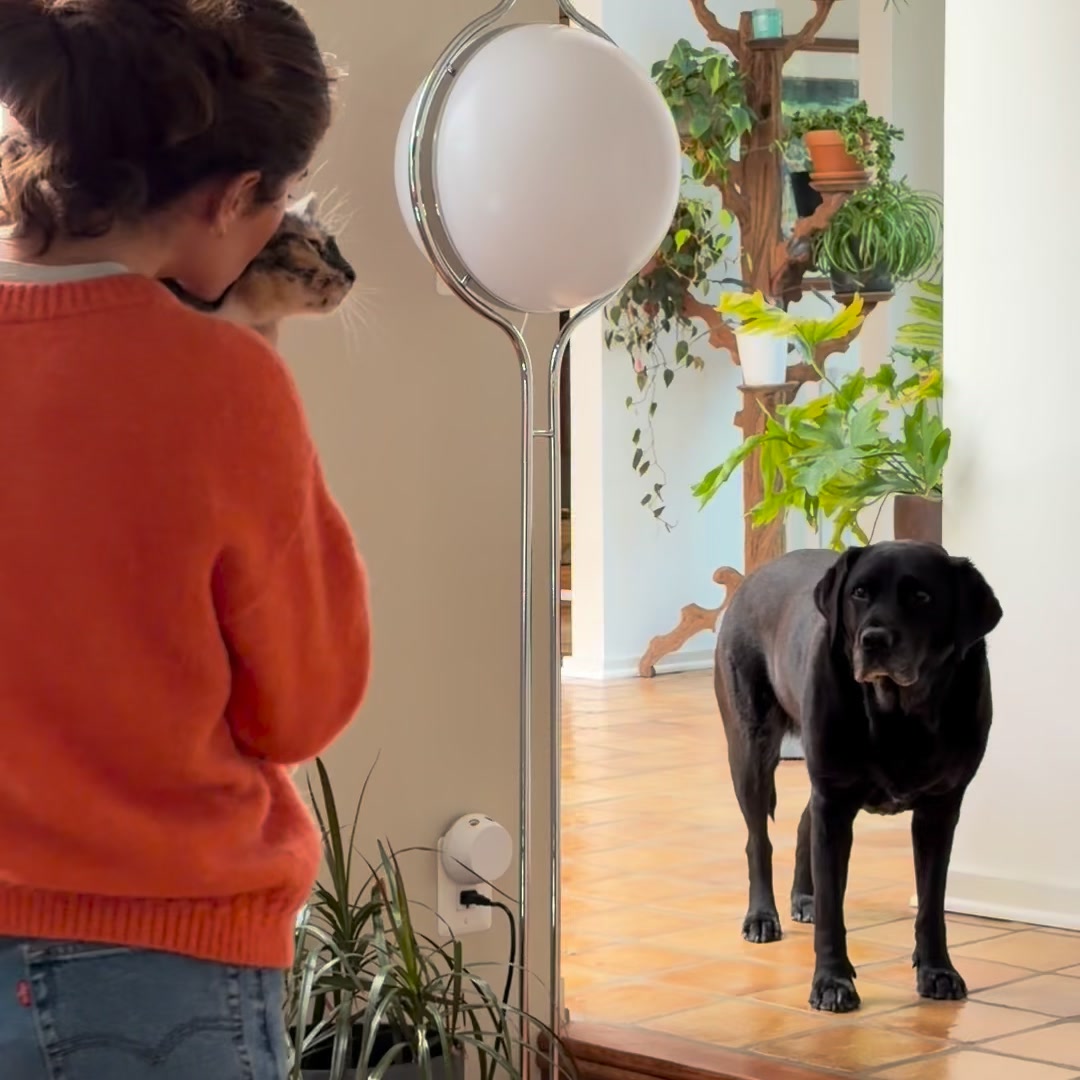 Vet care on your schedule