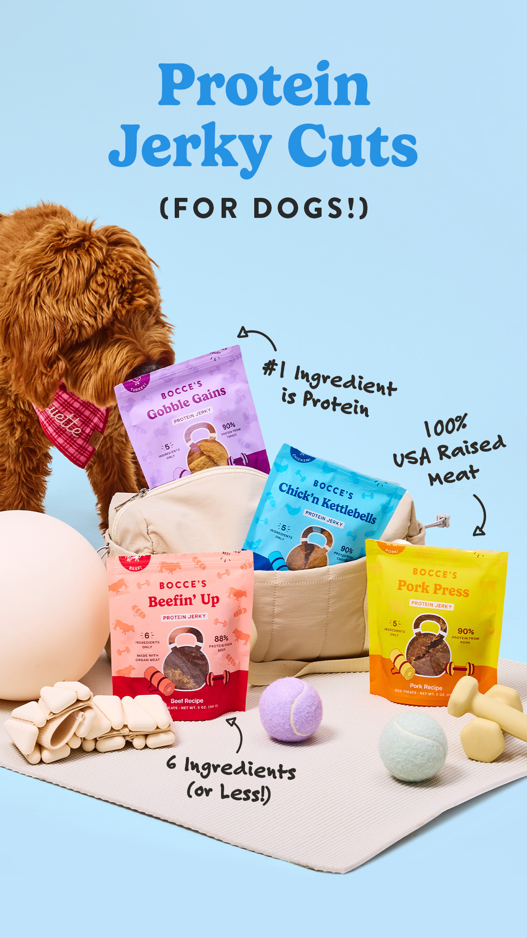 Shop Dog Treats