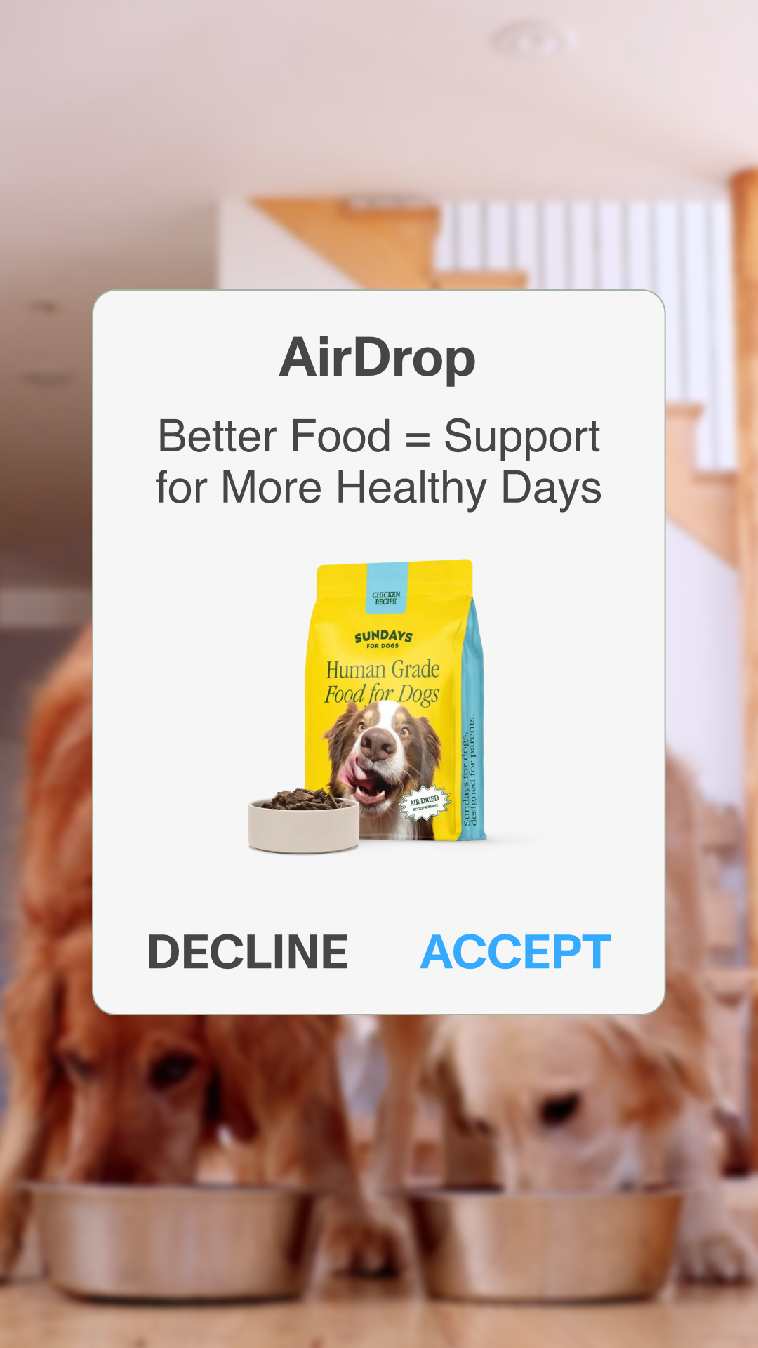 Sundays is no mess, no prep dog food that makes serving your pup 100% human-grade meals effortless. We want you to see how this can impact you and your pup so we’re offering 50% off your first box.