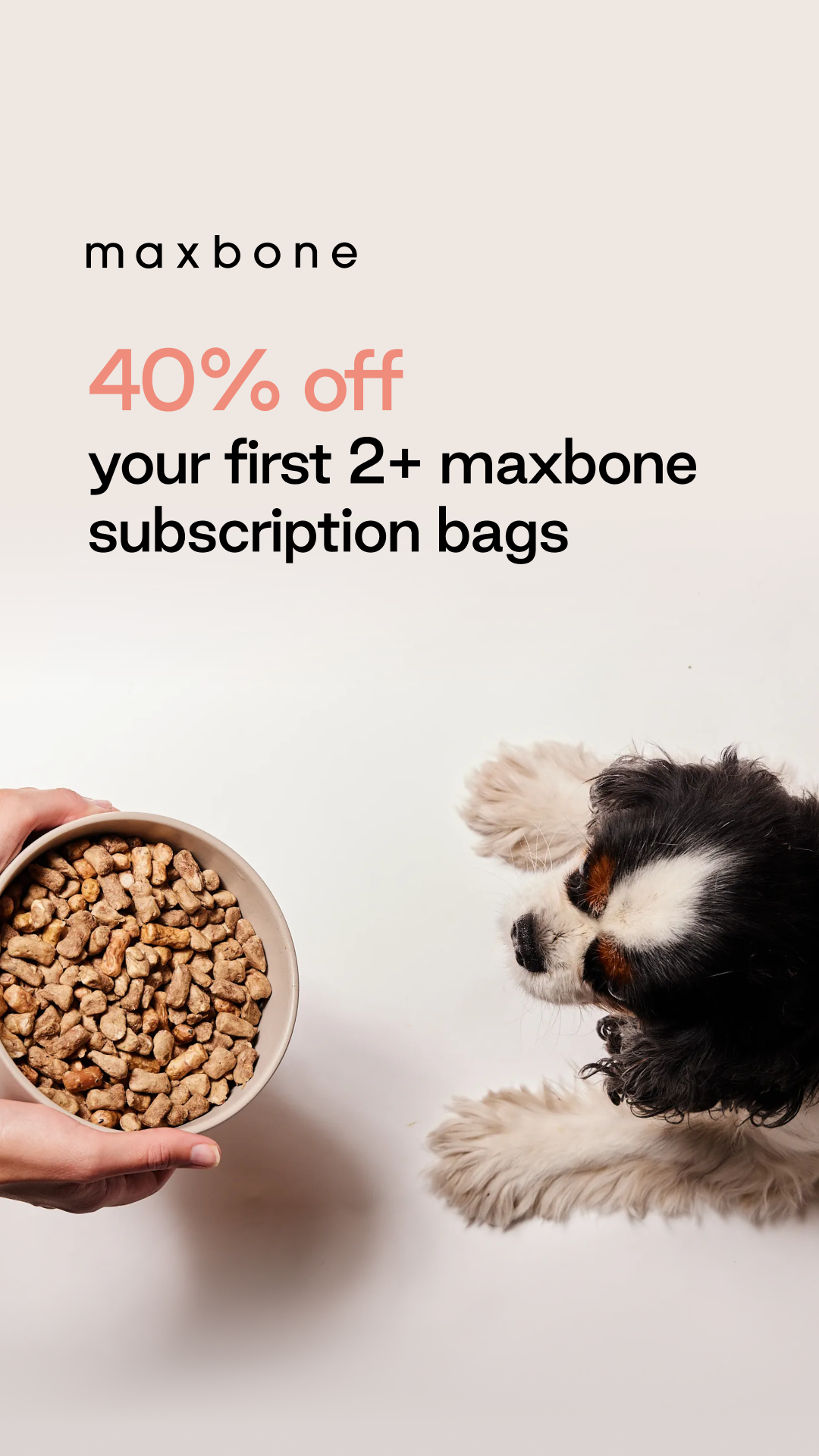 Get 40% Off Your First 🐶 Pet Order