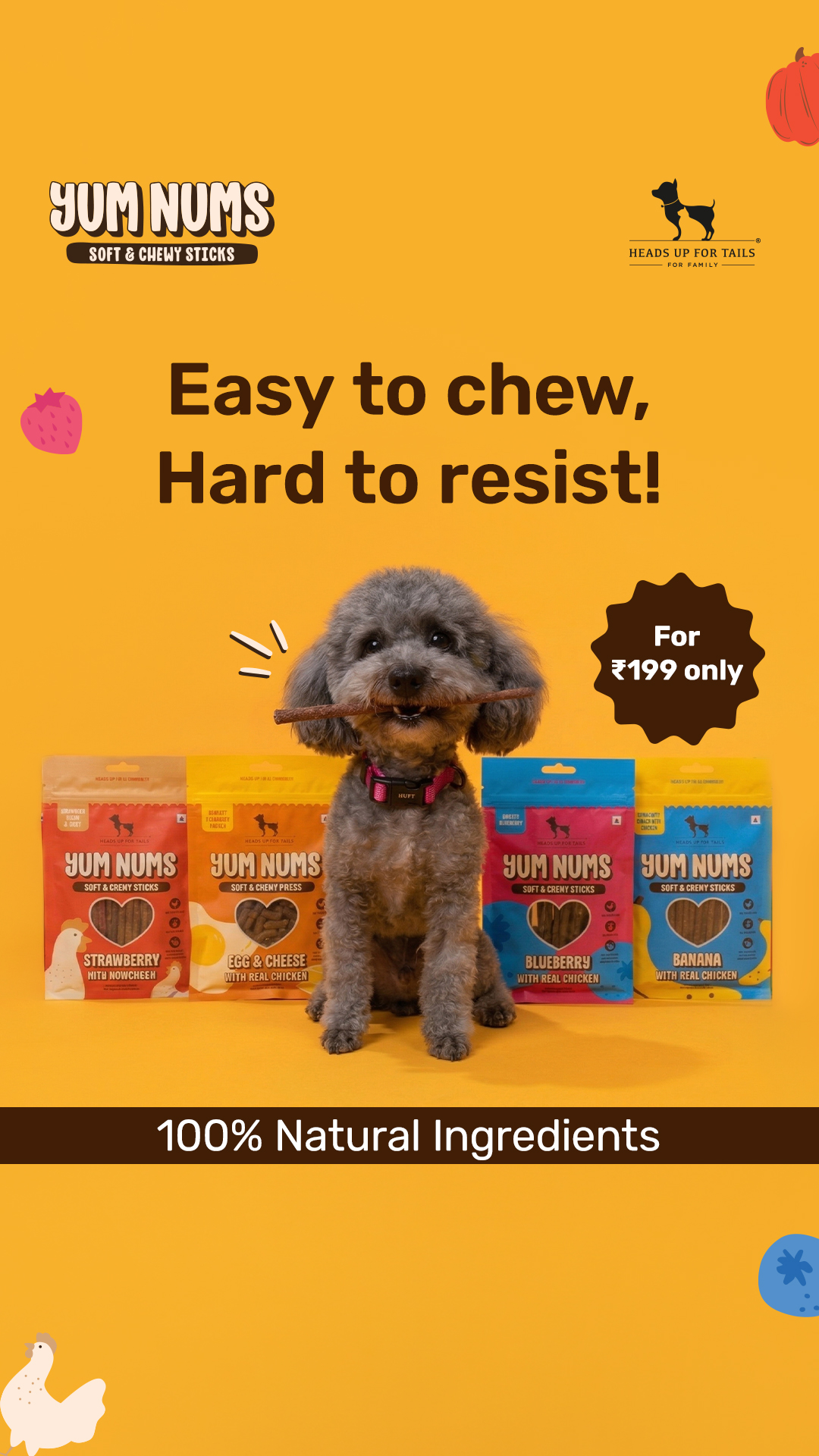 Yum Nums are the most fun way to treat healthy, & dog parents across India agree! 🥹 Made with 100% real & human-grade ingredients, rich source of protein, iron & essential vitamins & minerals, this range of dog treats is