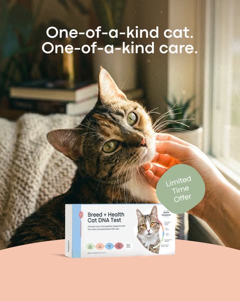 Beyond the Purr