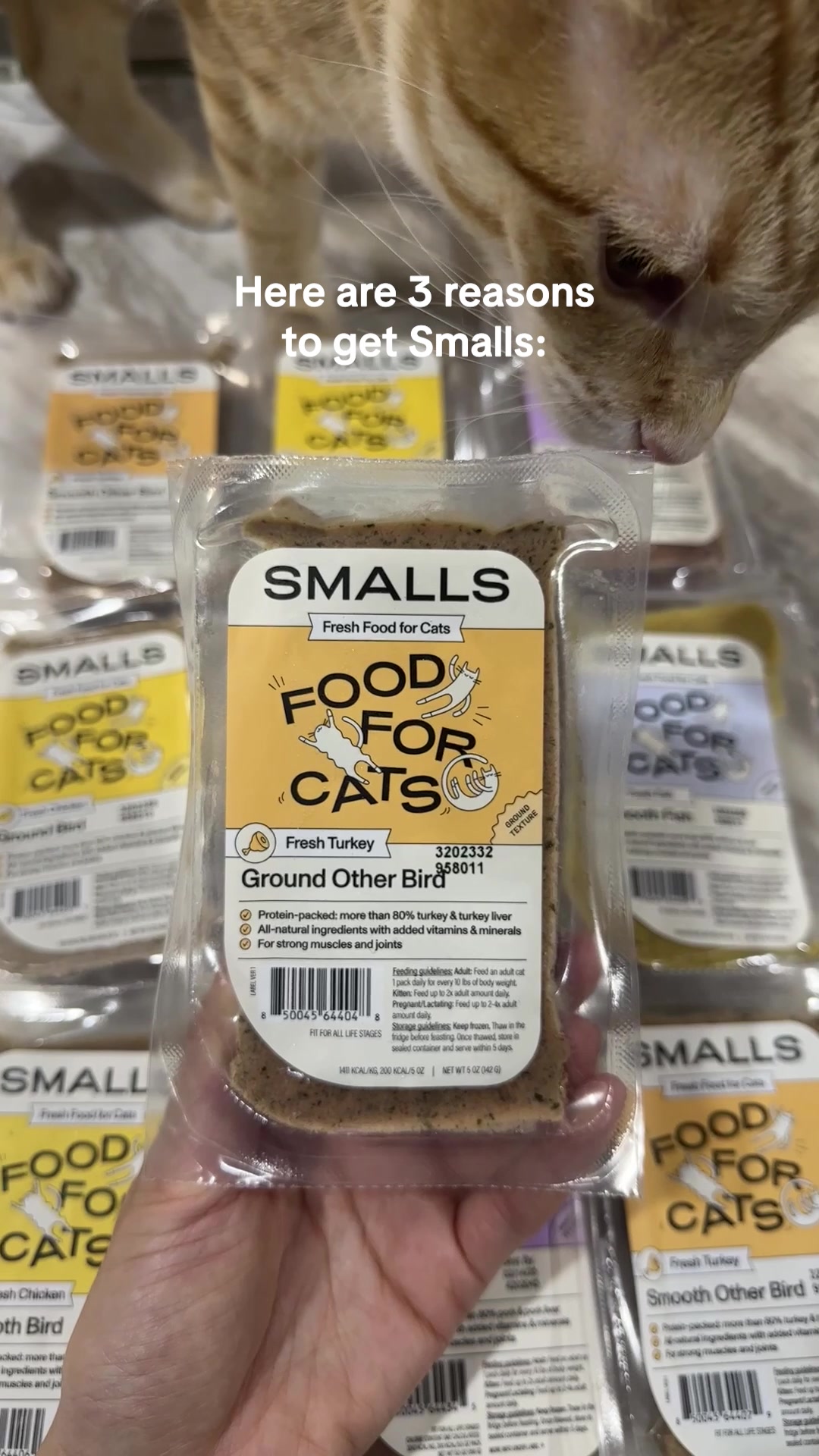 We’re not a big pet food brand. We’re cat parents who made something better: fresh food, made just for cats.