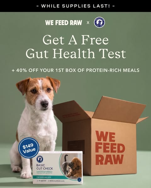 Get a FREE Gut Test + 40% Off