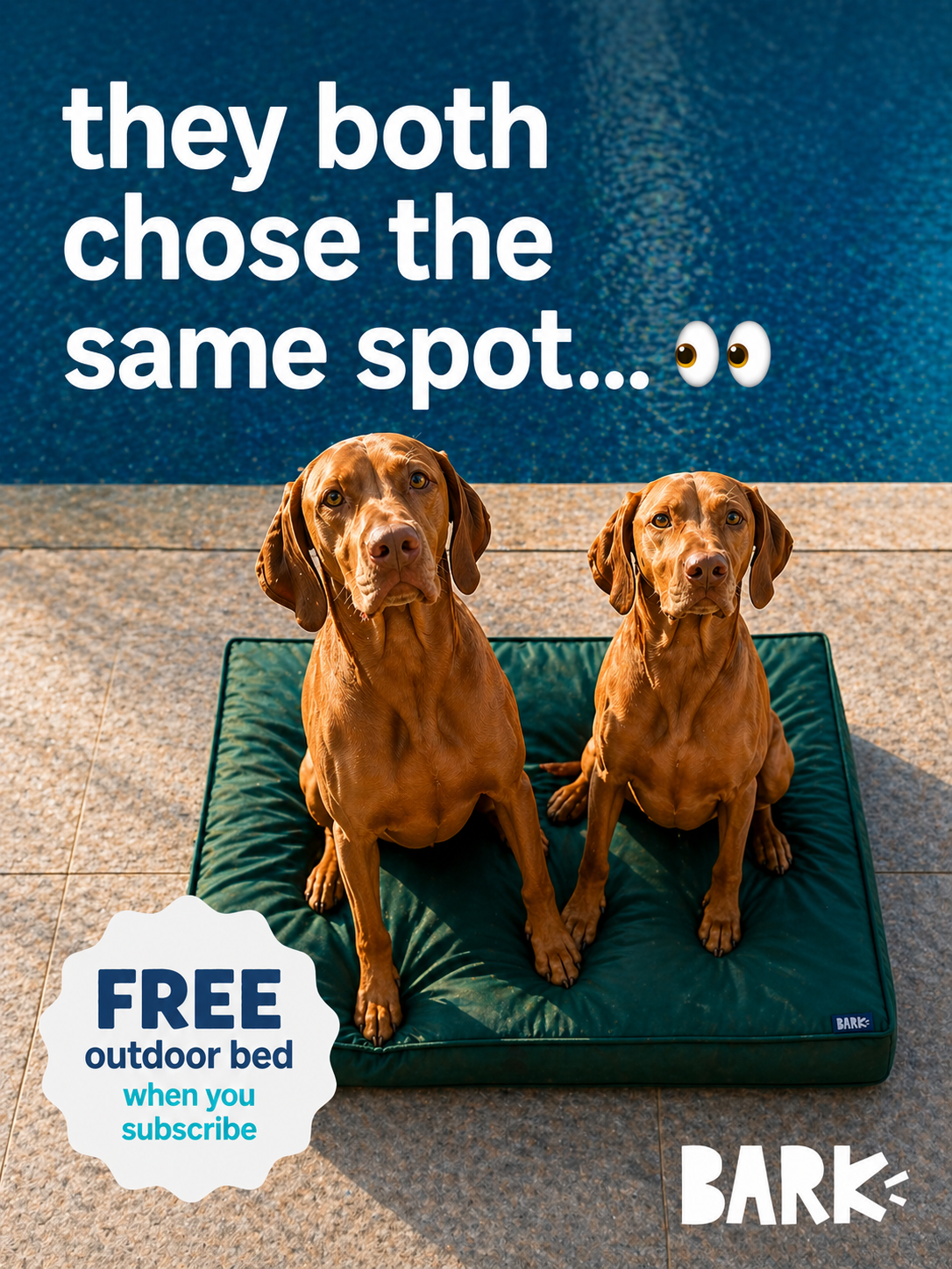 When you and your bestie have the exact same taste in real estate. Subscribe to BarkBox and this bed is FREE.