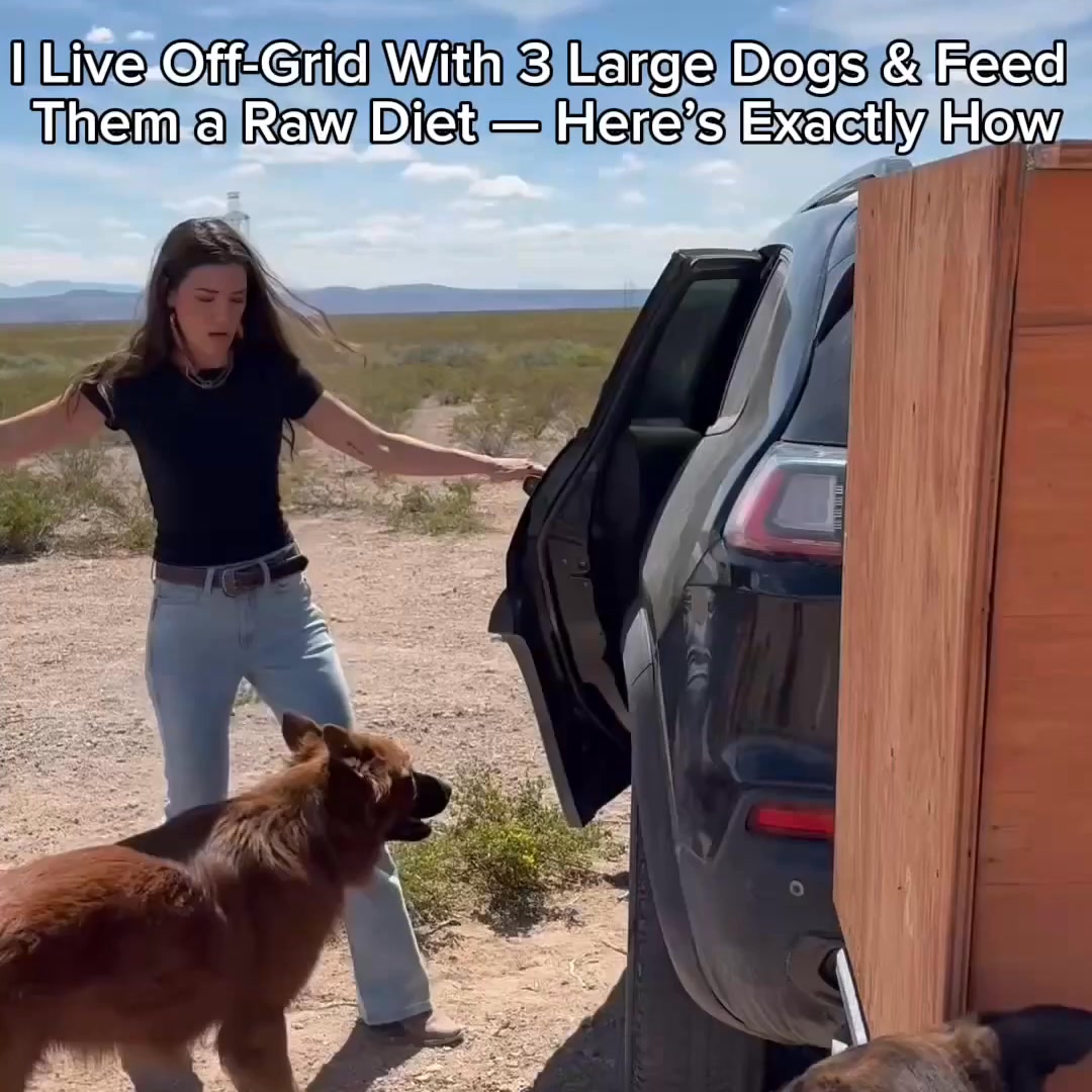 If I Can Do It Off the Grid, You Can Do It From Your Kitchen