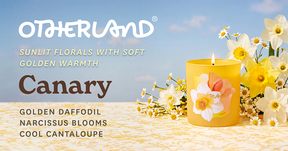 Discover Canary