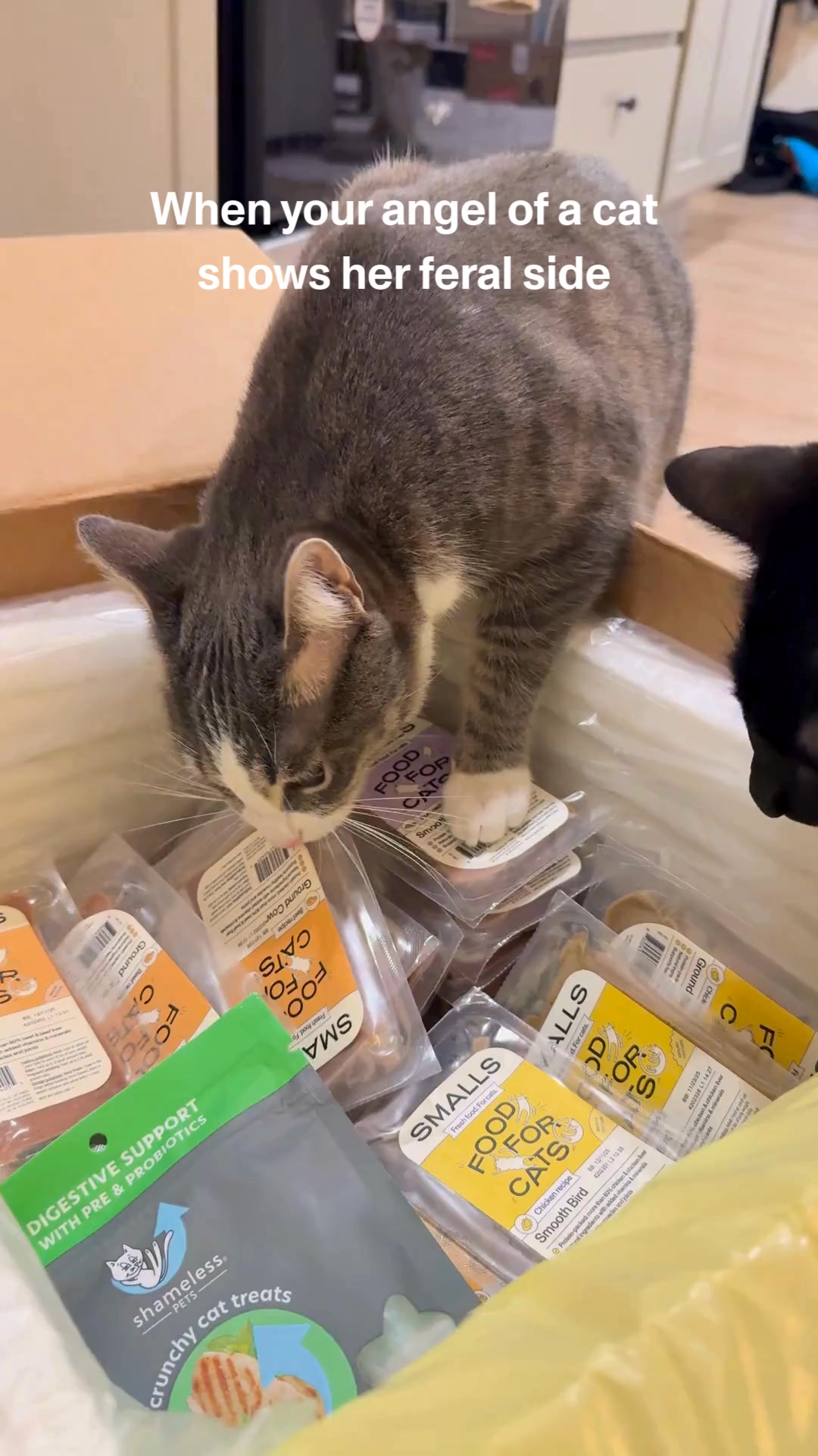 Smalls is 100% real protein. No carbs, no preservatives. Just the best for your best friend.