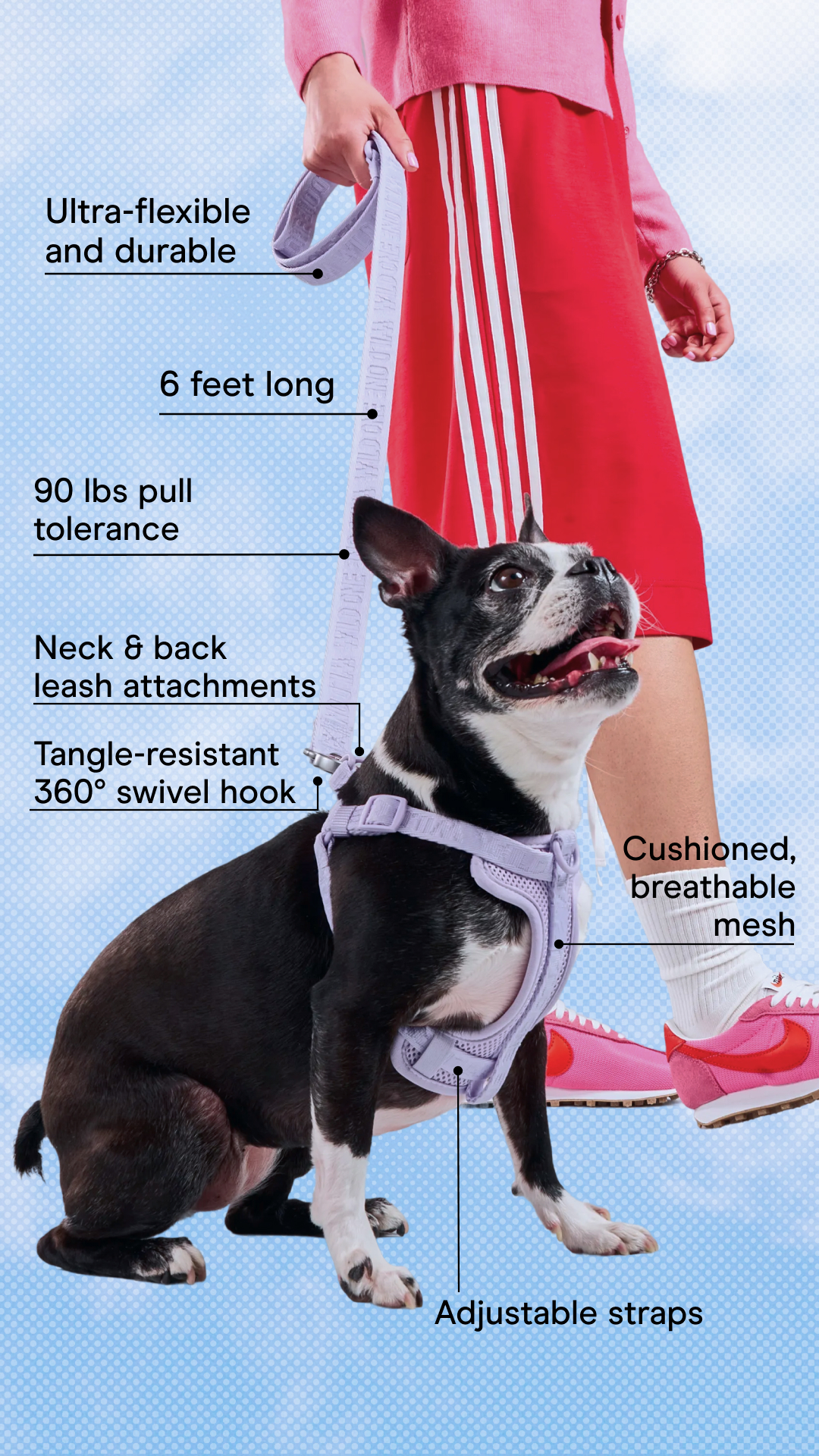 Pawsitively Stylish Dog Gear