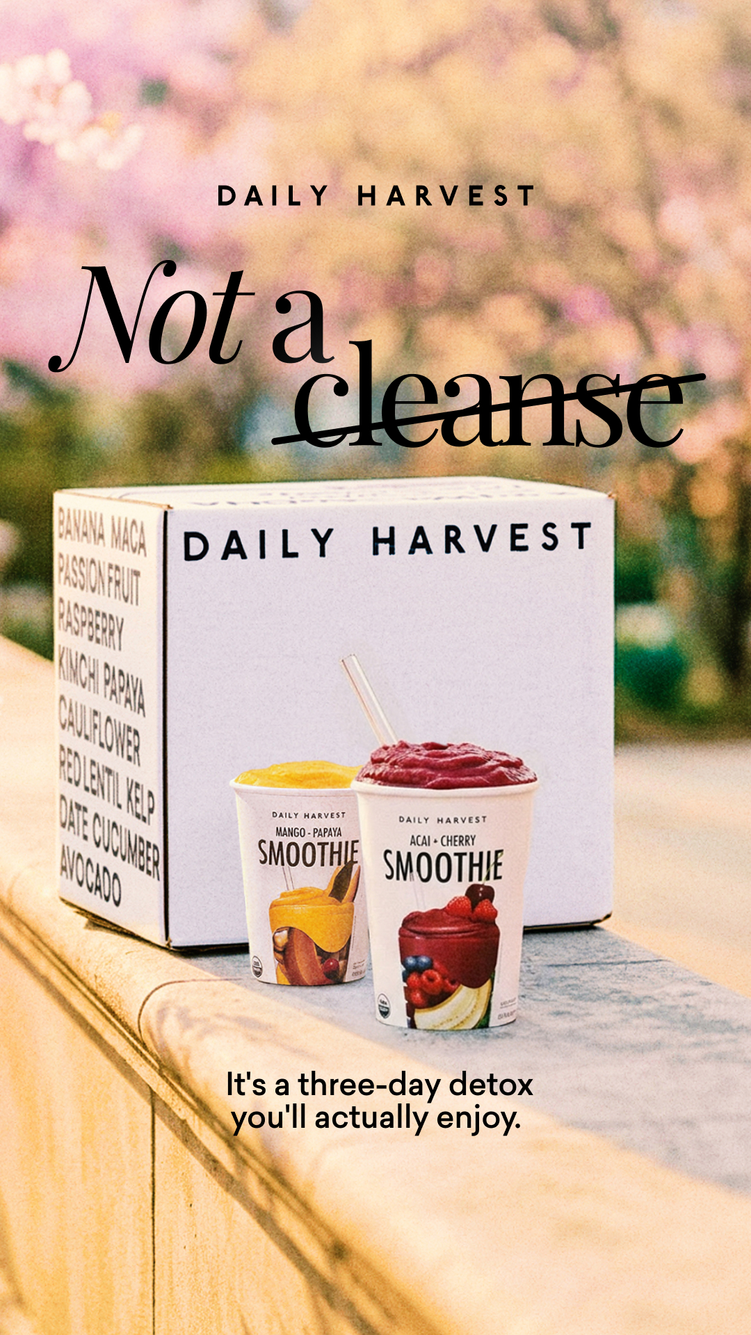 No sad juices here. Our detox smoothies contain fruits, veggies, & other ingredients that support natural detox pathways.
