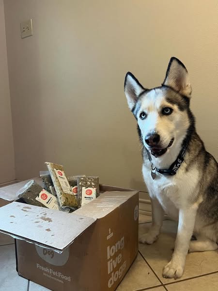 Feeding real, fresh food has real, healthy benefits for dogs. Get 50% off your first box and give your dog a fresh start.