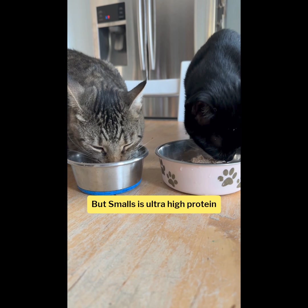 😺 Meals your cat can't wait to eat 😺

🐈 Fresh food catered to your cat’s needs
🐾 Get 20% off your Sampler when you try Smalls
😋 Made from human-grade ingredients
✅ Vet-approved formulas 
📦 Delivered to your door, ready t
