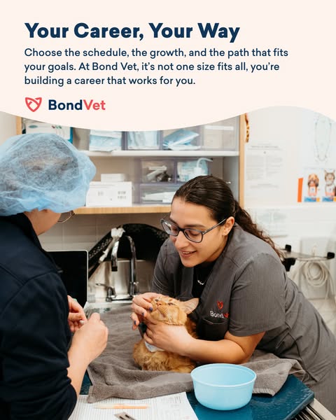Balance, Not Burnout
