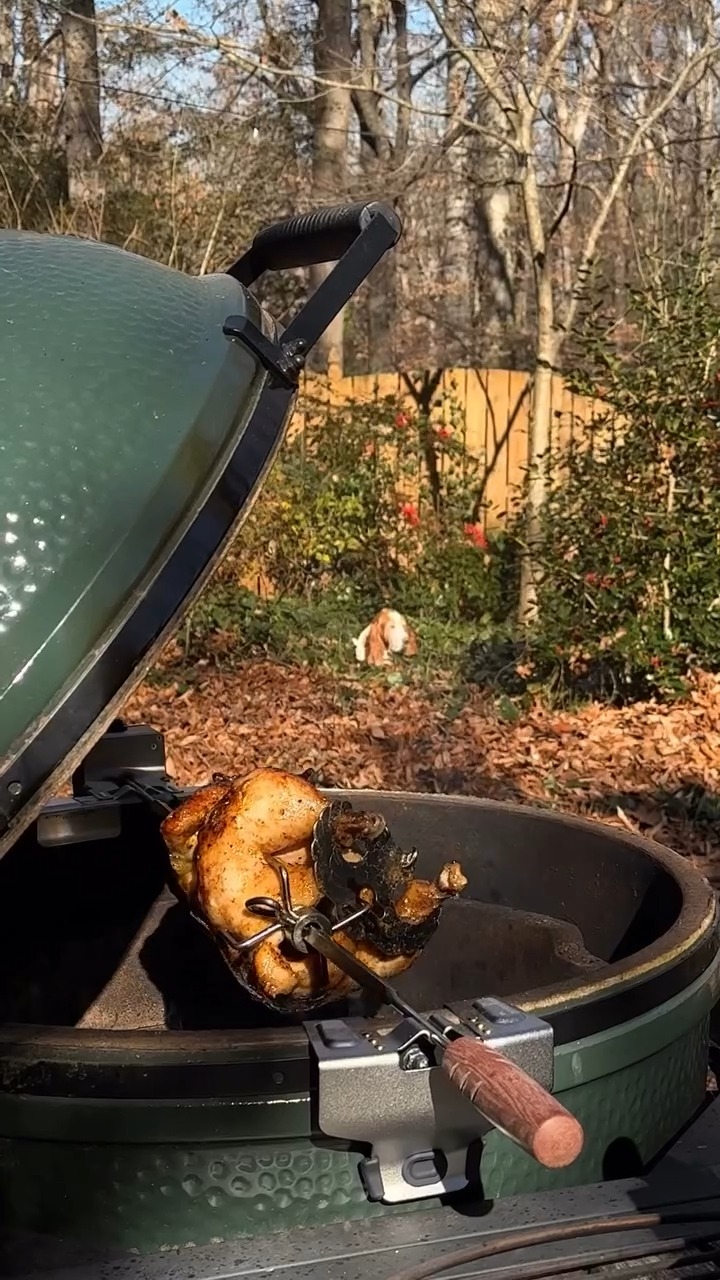 Lana_Del_Basset Rotisserie