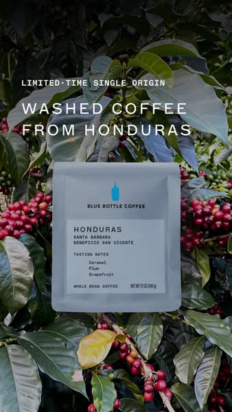 Single Origin: Santa Bárbara, Honduras