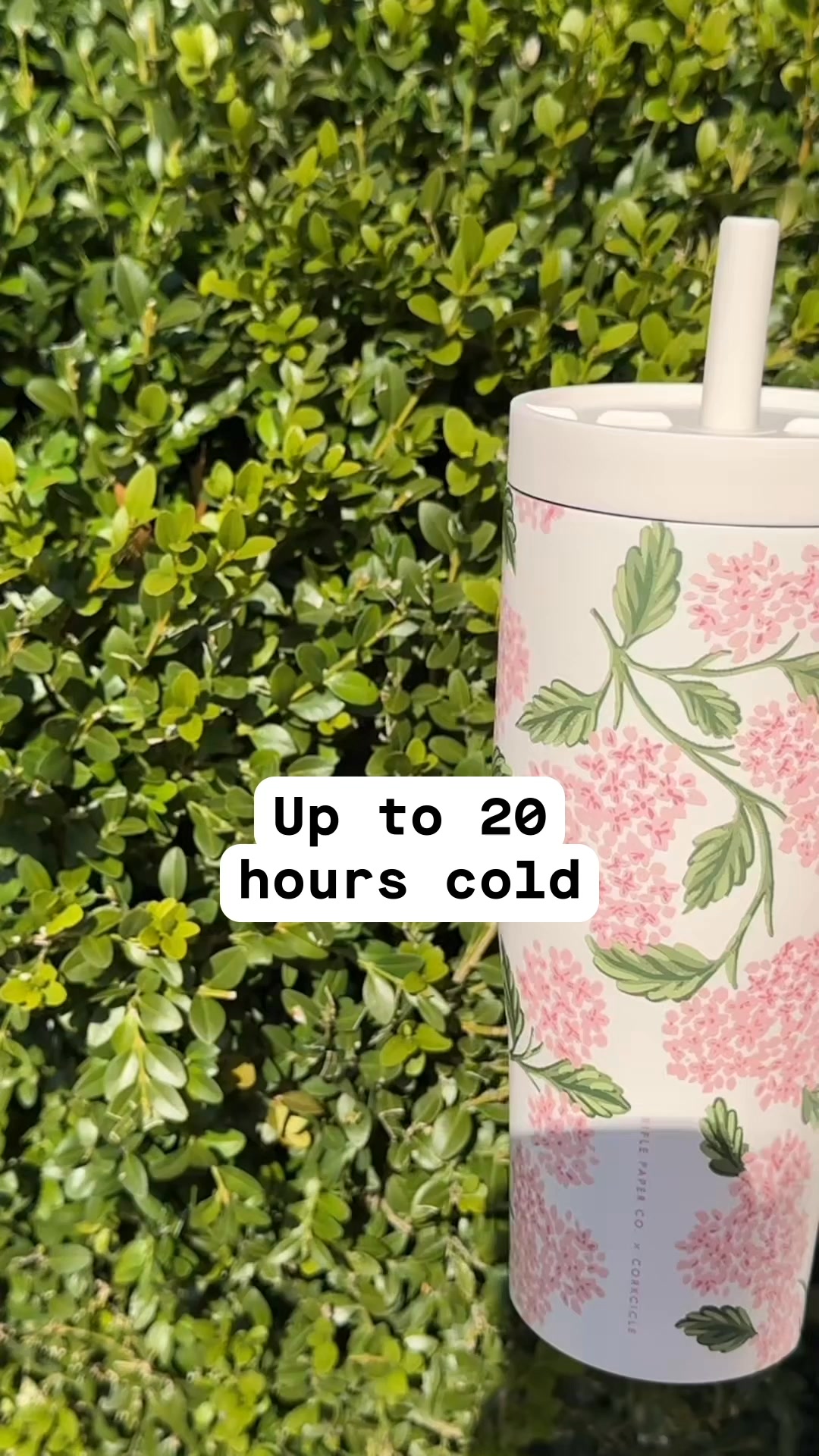 Hydration But Make It Cute