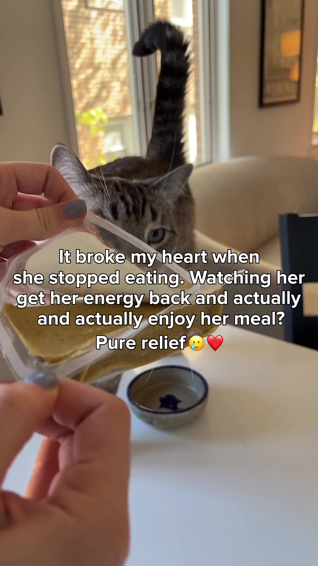 Human-Grade Fresh Cat Food