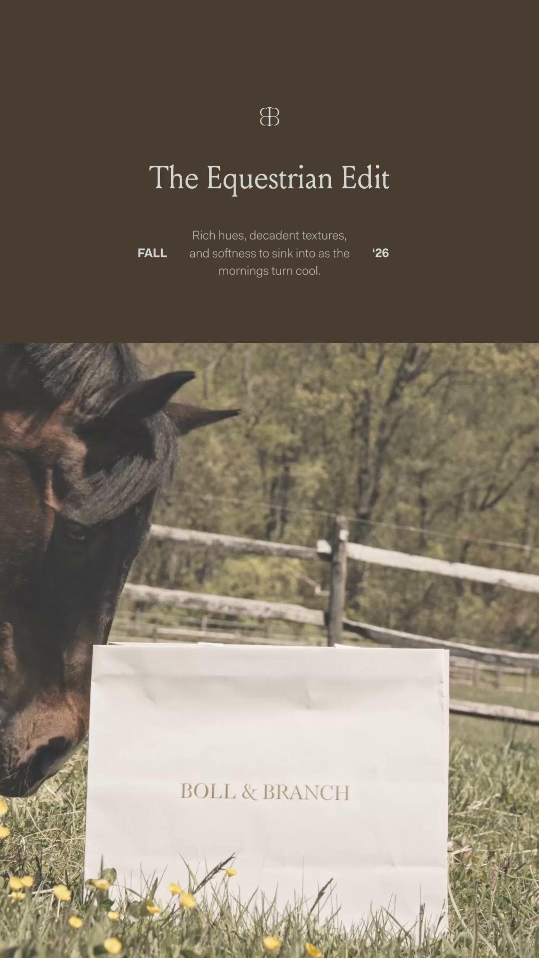 Shop The Equestrian Edit