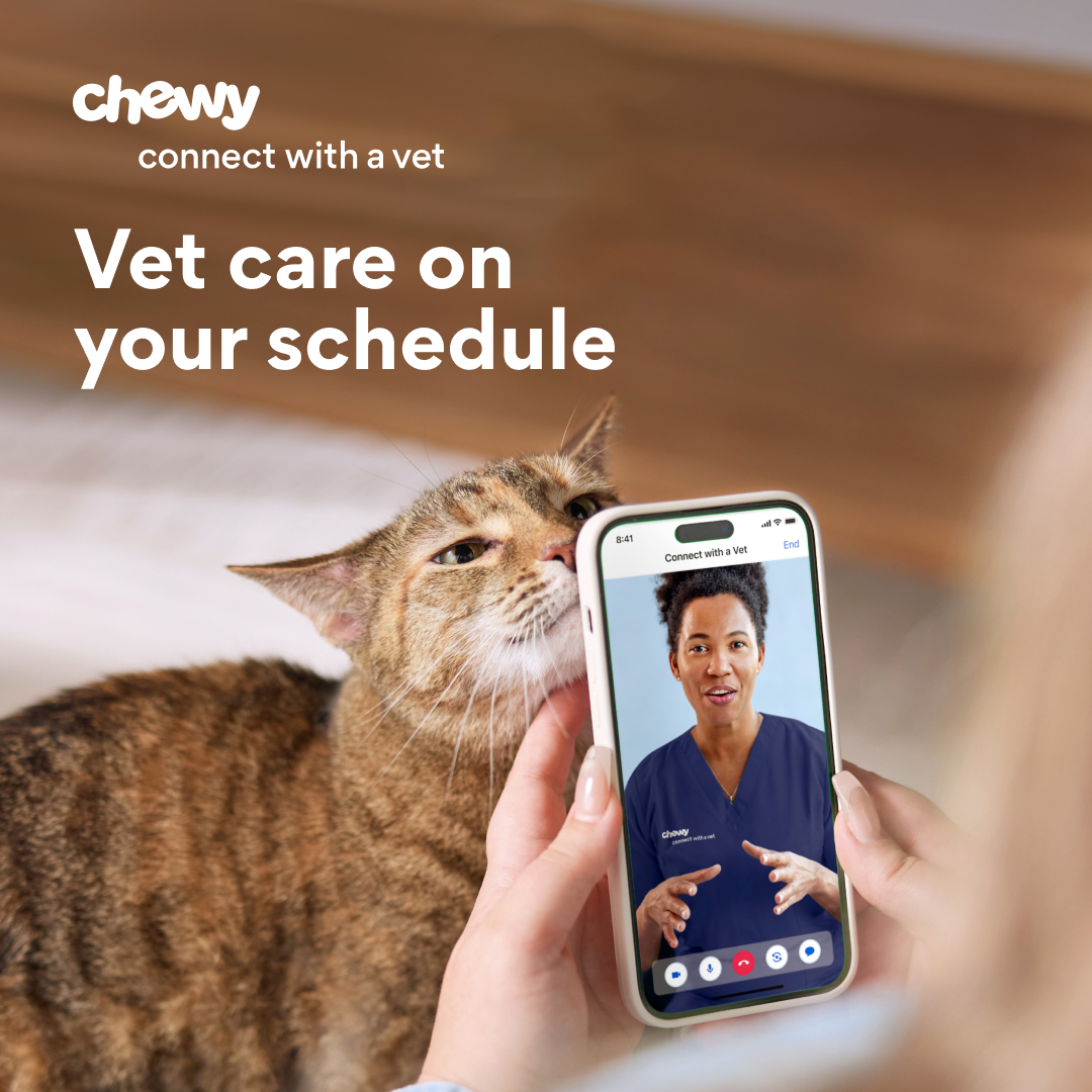 Talk to a vet from the comfort of home, day or night, and get advice, Rx approvals, and more— just $49.99 per consult.