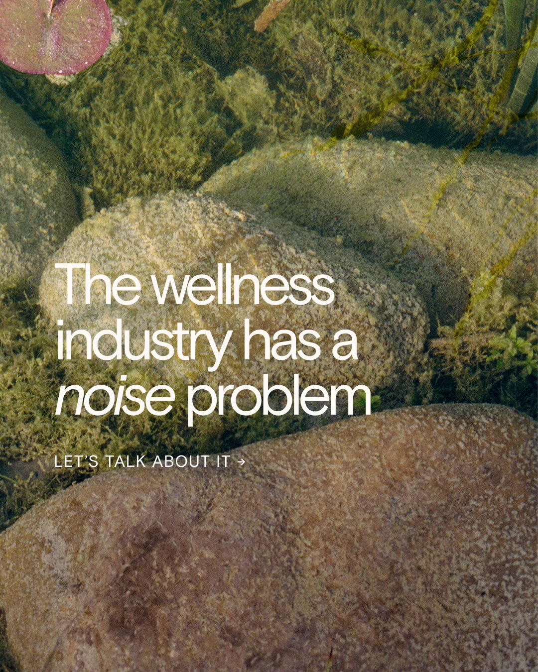 Wild Nutrition