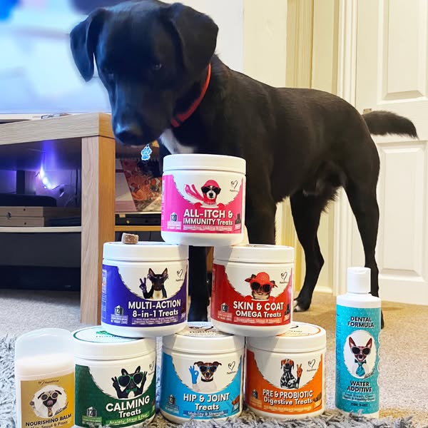 Pawsitively On Sale Now