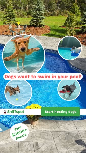 Rent your yard to Dogs 🙌 🐕‍🦺