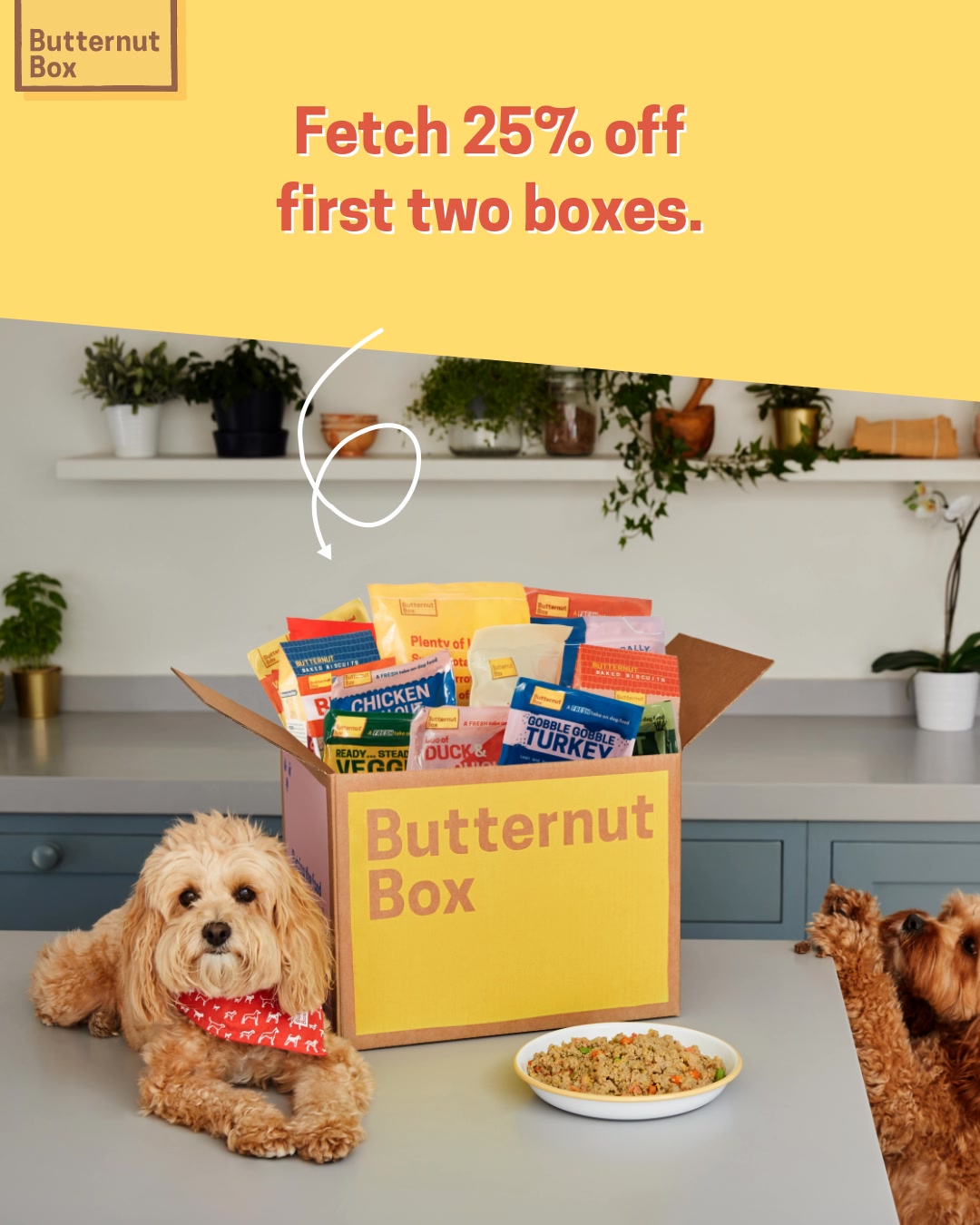 Get 40% Off Your First 2 Boxes