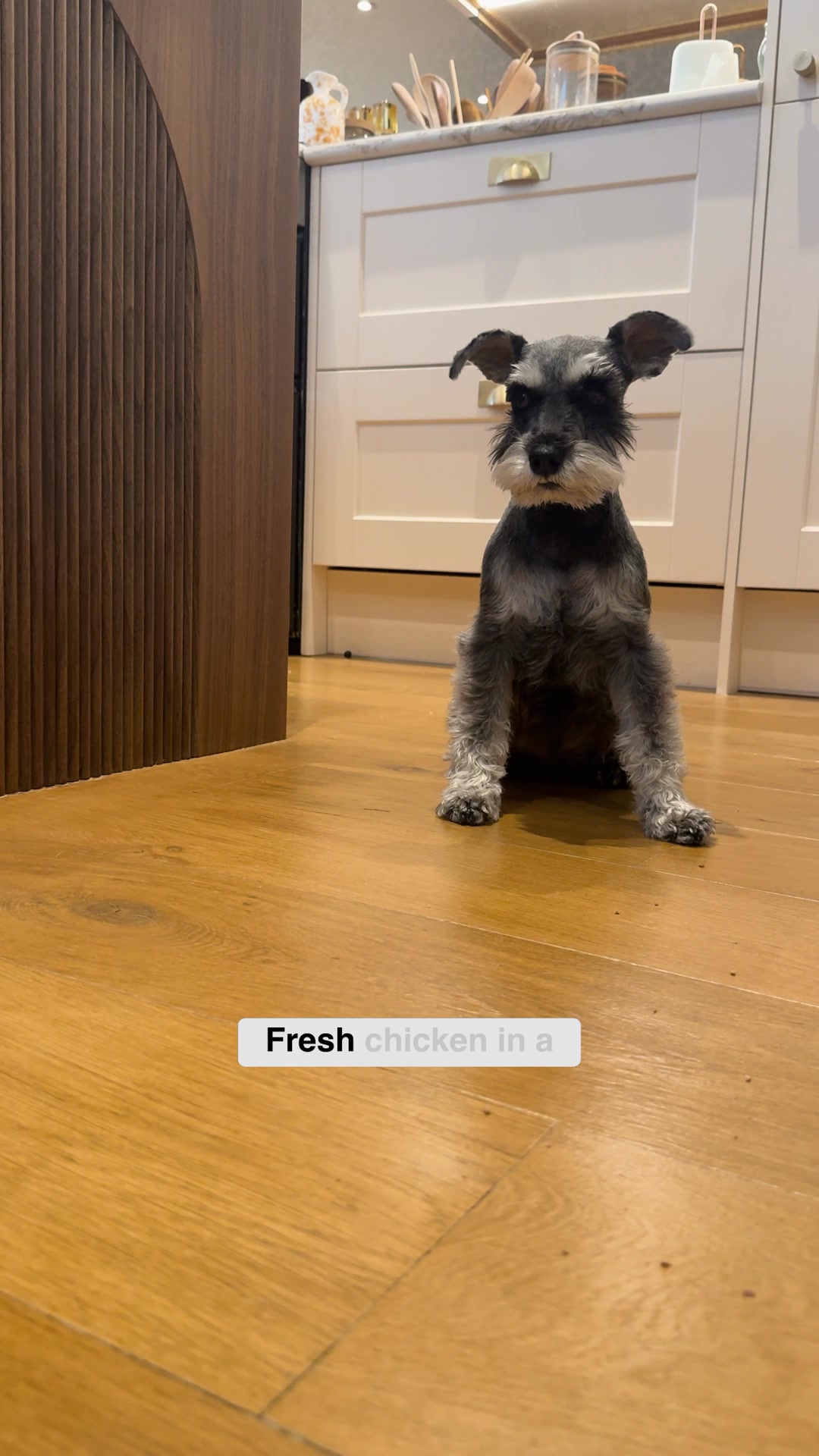 Fetch 25% Off Your First Two Boxes