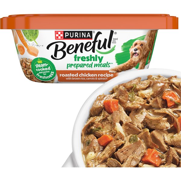 Beneful 💥 Kick Boring in the Bowl
