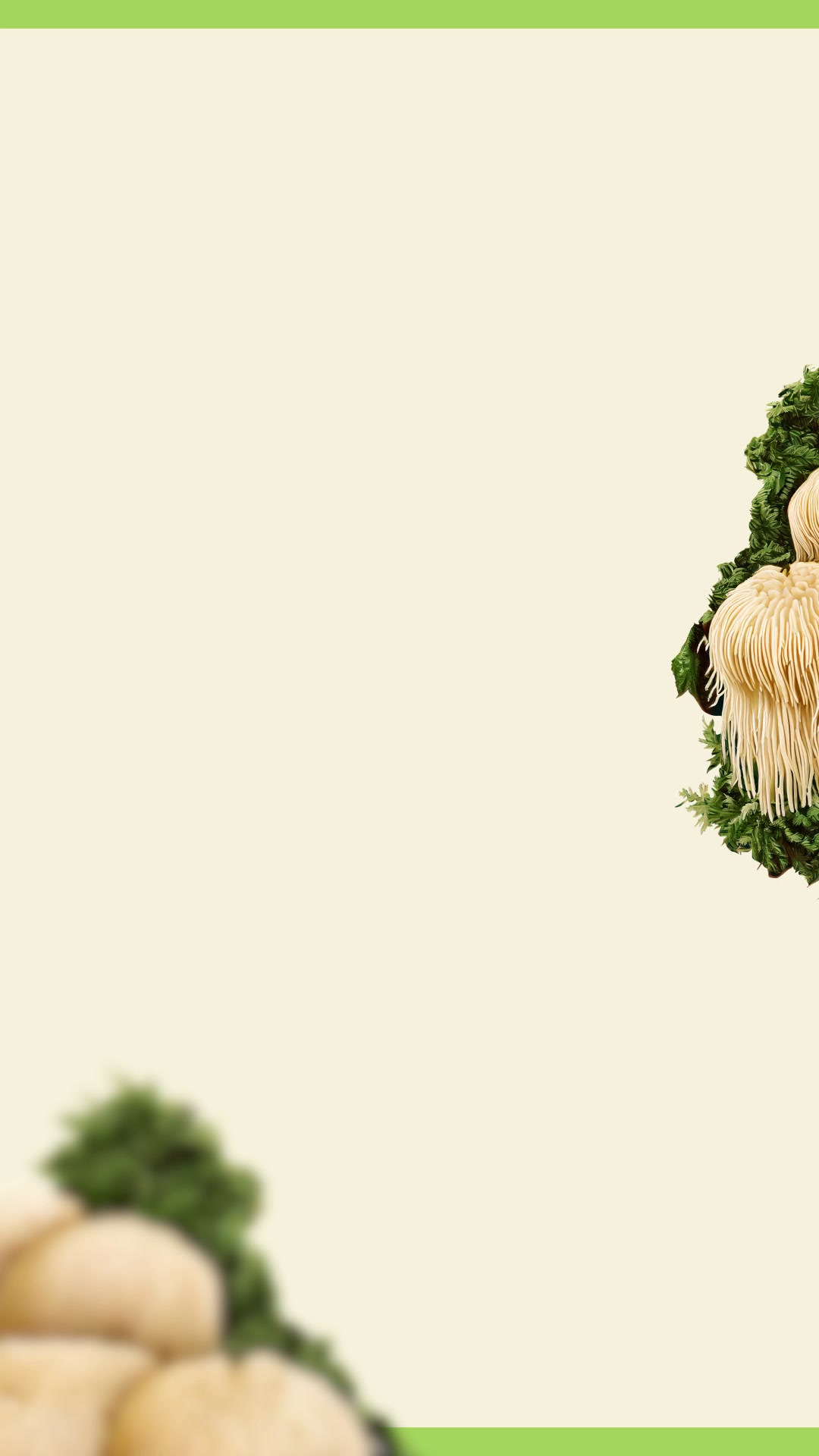 Experience the Brain-Boosting Benefits* of Lion’s Mane Mushroom