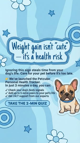 Your dog can’t tell you what’s wrong… but their body can 🐶💙
In just 3 minutes a day, stay ahead of hidden health issues and give them more happy years by your side.