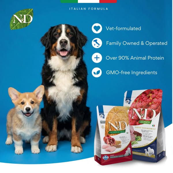 Premium Nutrition for Dogs
