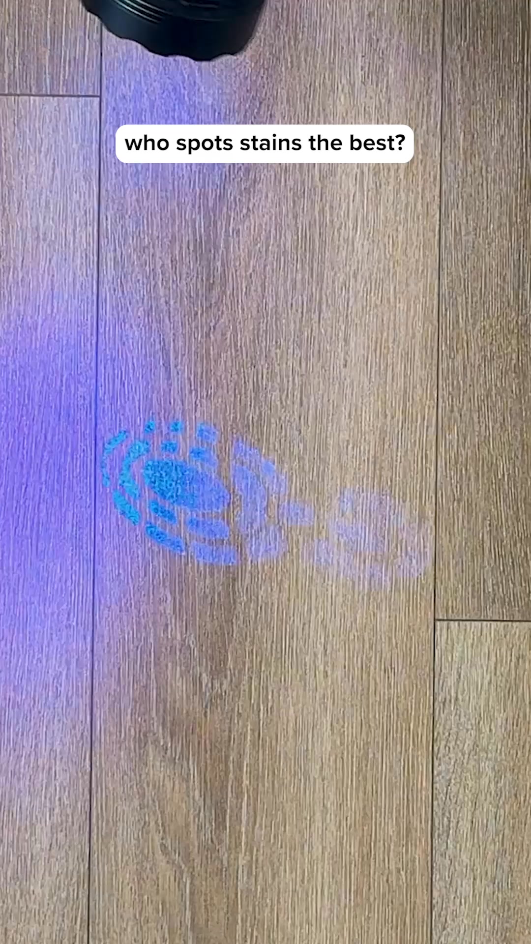 This robot sees and eliminates stains that others miss.👀 Shark® PowerDetect™ UV Reveal™ 2-In-1 Vac & Mop on Amazon today.