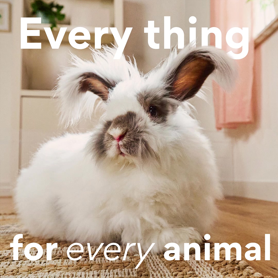 For beaks to tails (and scales, too), Chewy has every thing for every animal.