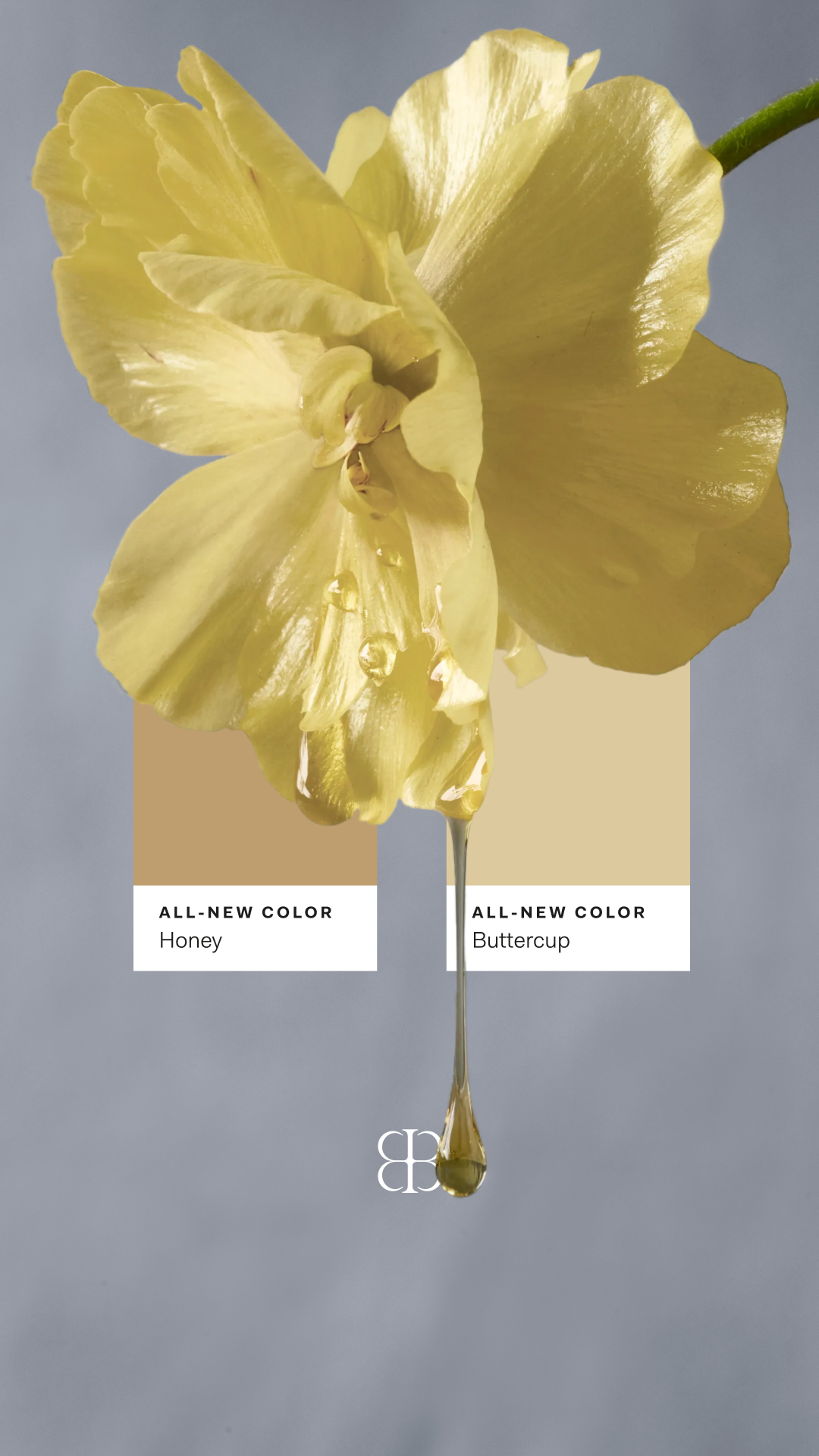 GOLDEN-HOUR HUES__Meet Buttercup and Honey—two luminous new hues inspired by early spring warmth. Fresh, uplifting, and designed to bring a sun-washed glow to your space.