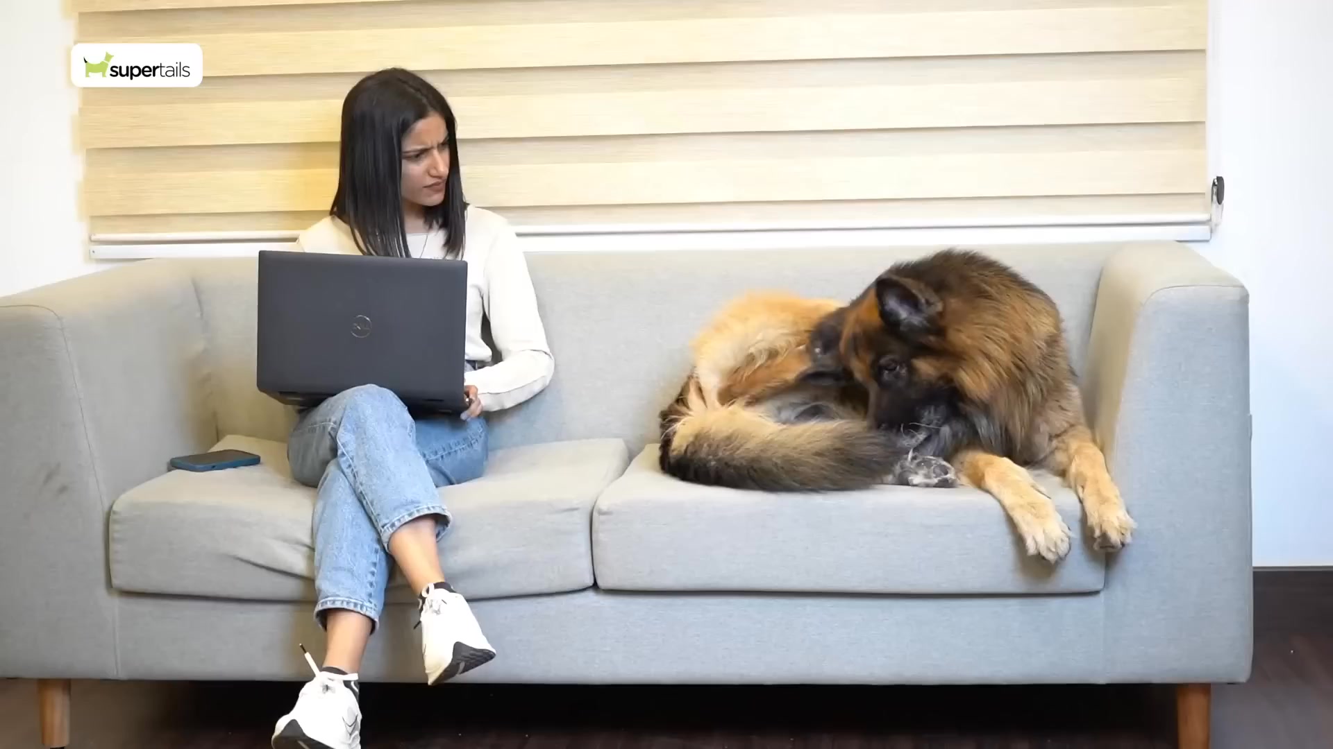 Hey friends! 👋
Say goodbye to wellness worries with Supertails!
Get personalized care, anytime, anywhere 🌟
Easy. Accessible. Life-changing! 💛