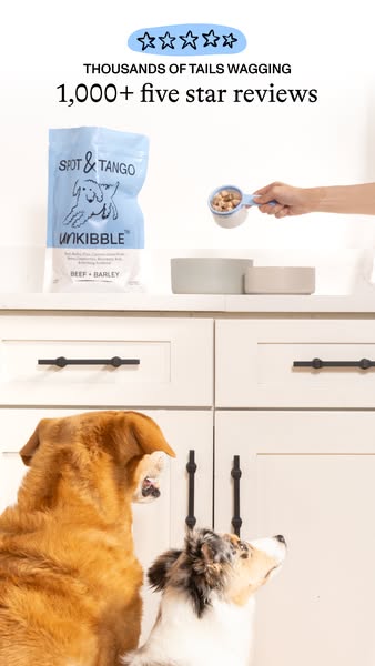 UnKibble is fresh dog food that doesn't take up your freezer and is 40% less than other brands! Your dog will love it or your money back.