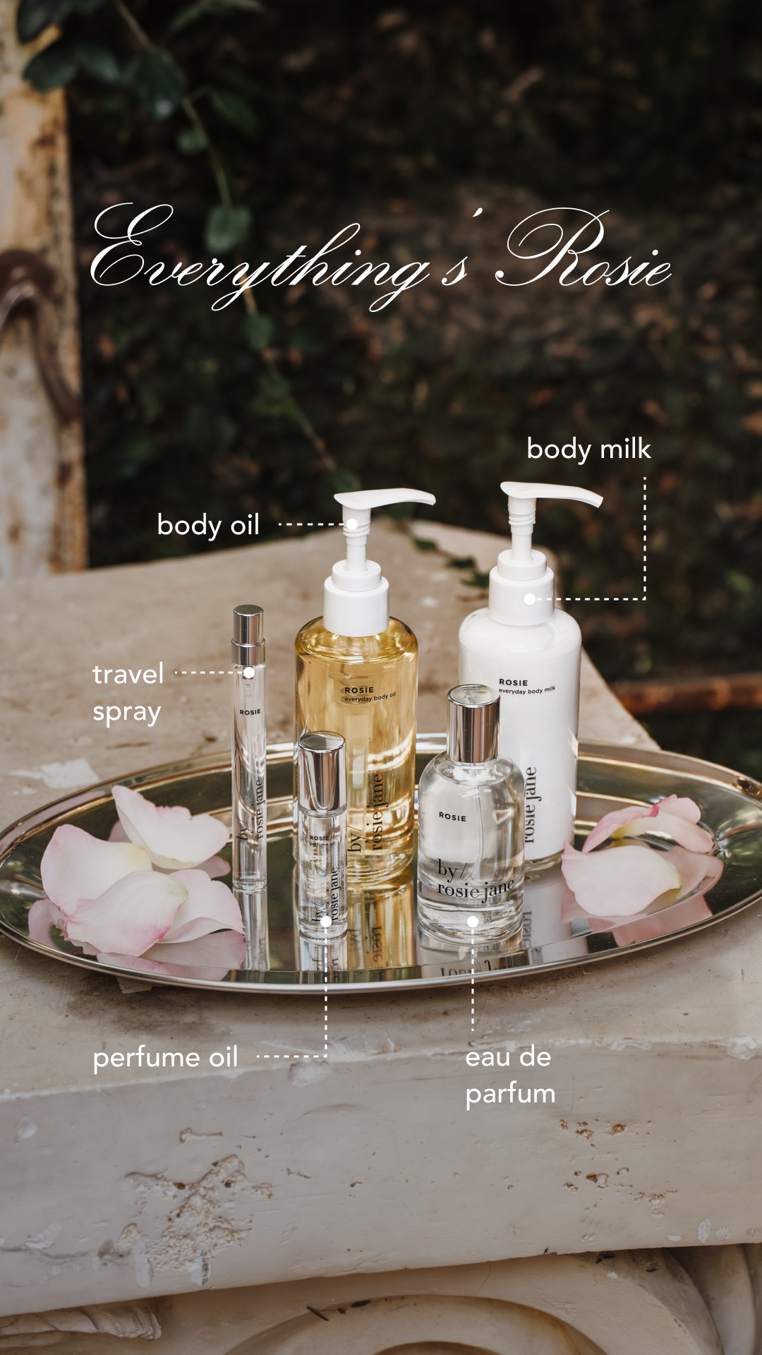 the best warm musk