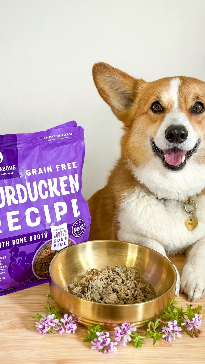 The difference between “I’ll eat eventually…”

and

“MOVE. THIS. BOWL. CLOSER.”

Real ingredients. Real excitement.

Some upgrades speak for themselves. 🐾