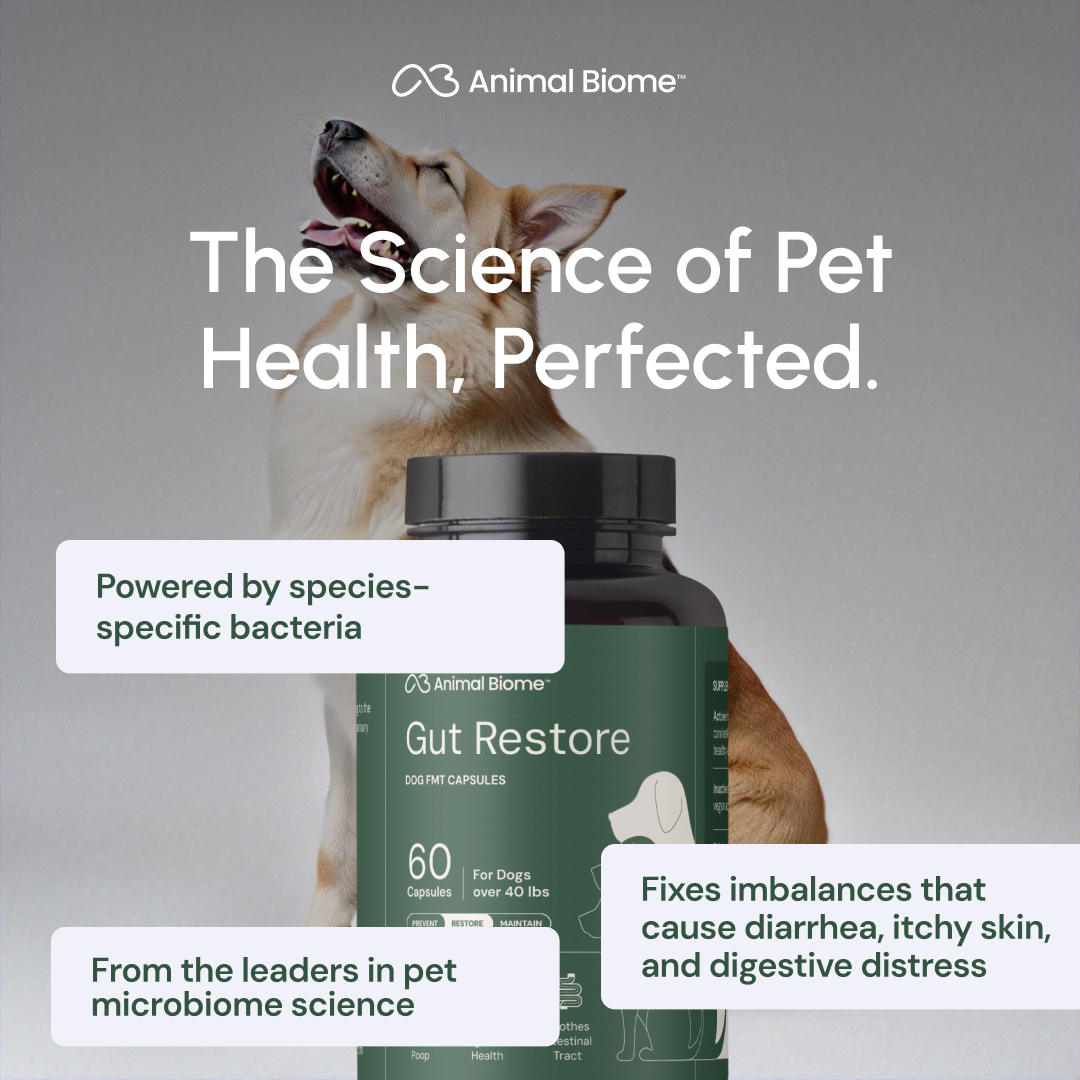 Put an End to Your Dog's Diarrhea