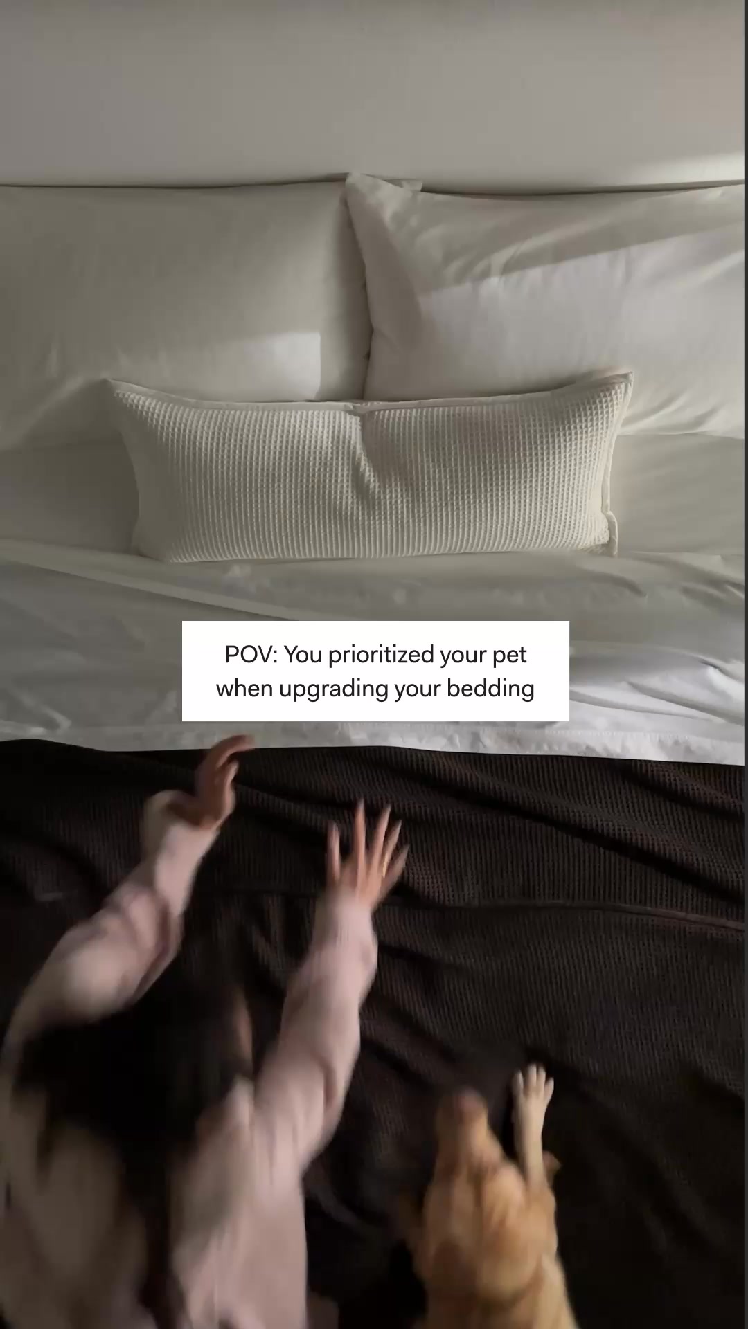 PET-FRIENDLY HOMES___Can still be incredibly chic, even when putting your pet’s comfort before your own. That’s why we ensure our luxury bedding is as durable as it is soft, and available in a wide range of colors so you