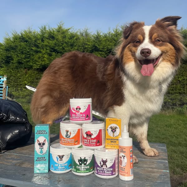 Sale Time for Your Furry Friend
