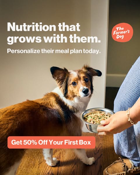 Discover the best dog-food delivery service for your furry friend! We found the best option for treating your pup 🐶