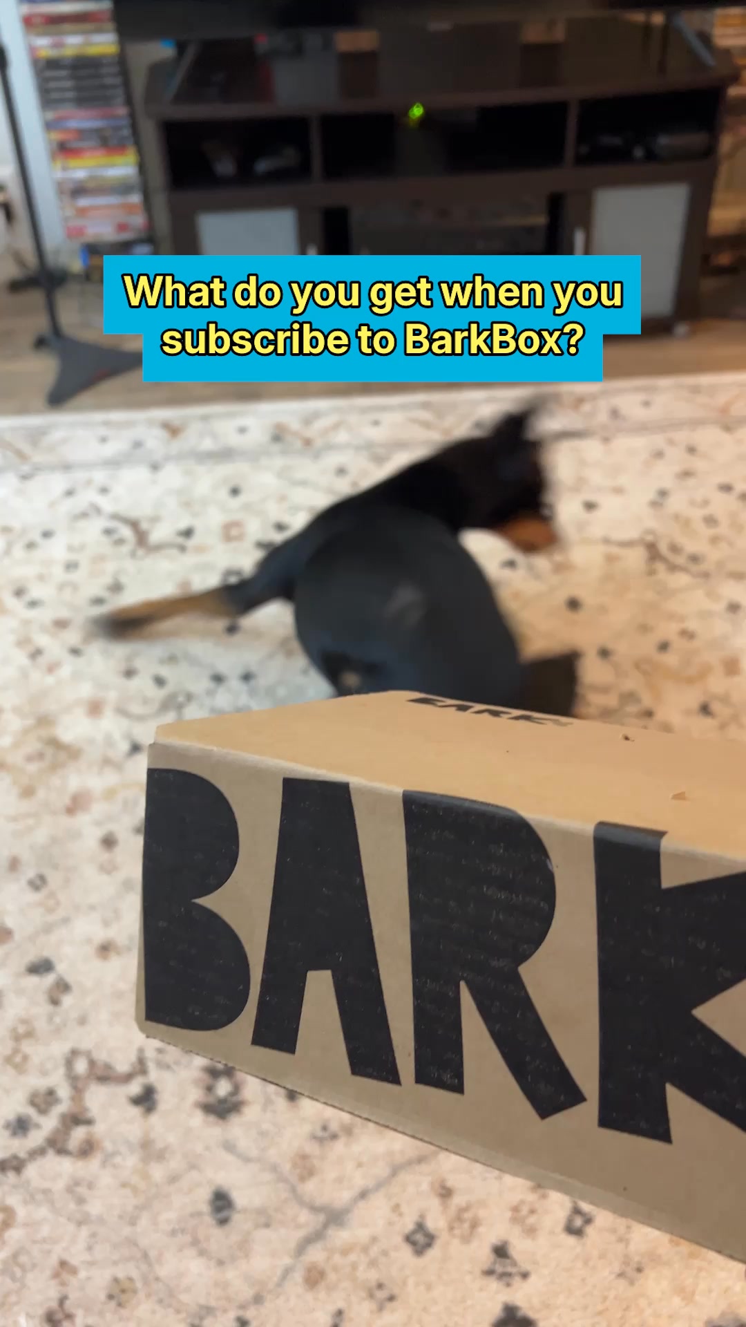 +12 FREE SUPERCHEWER TOYS
