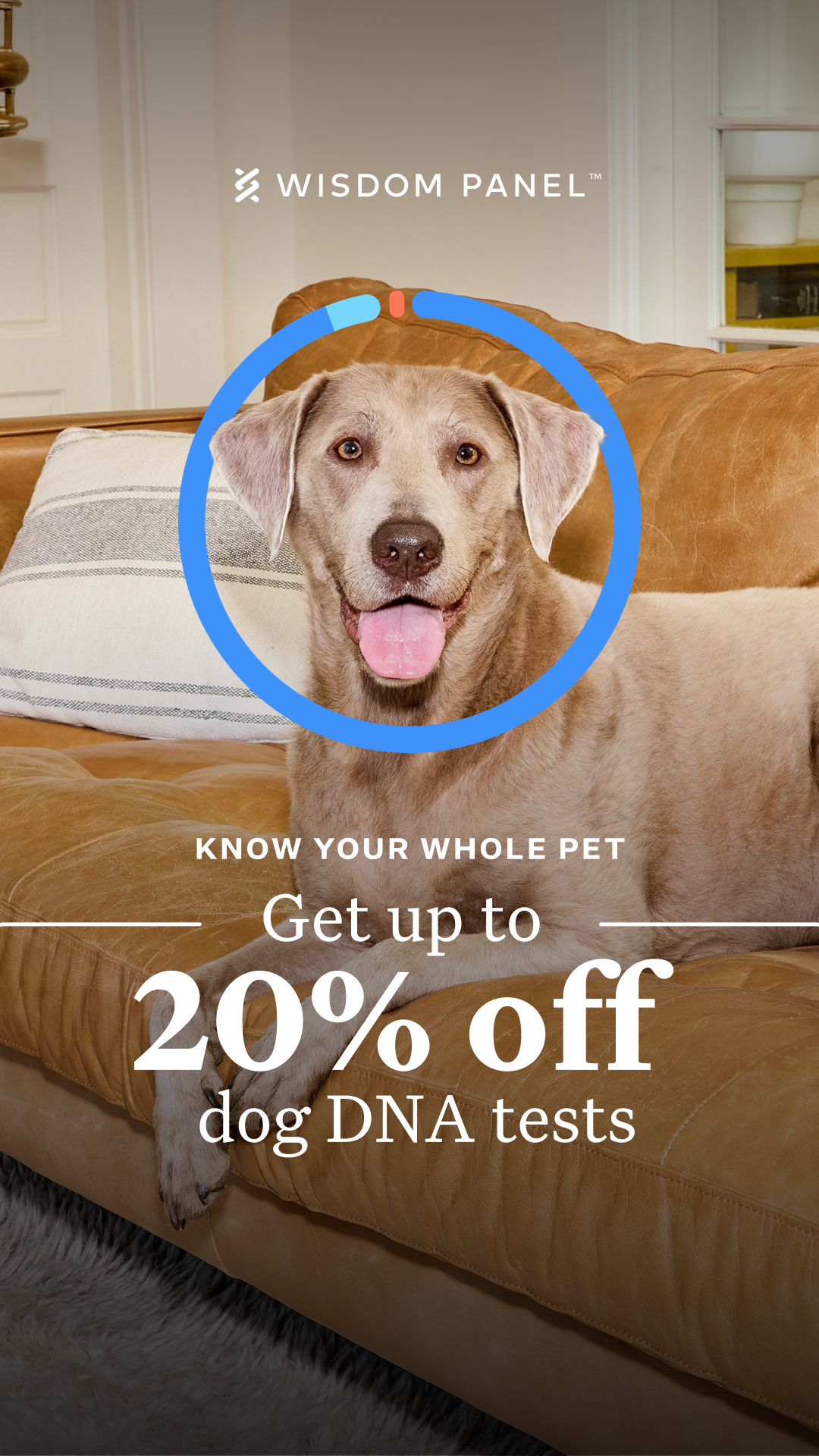 National Pet Month sale