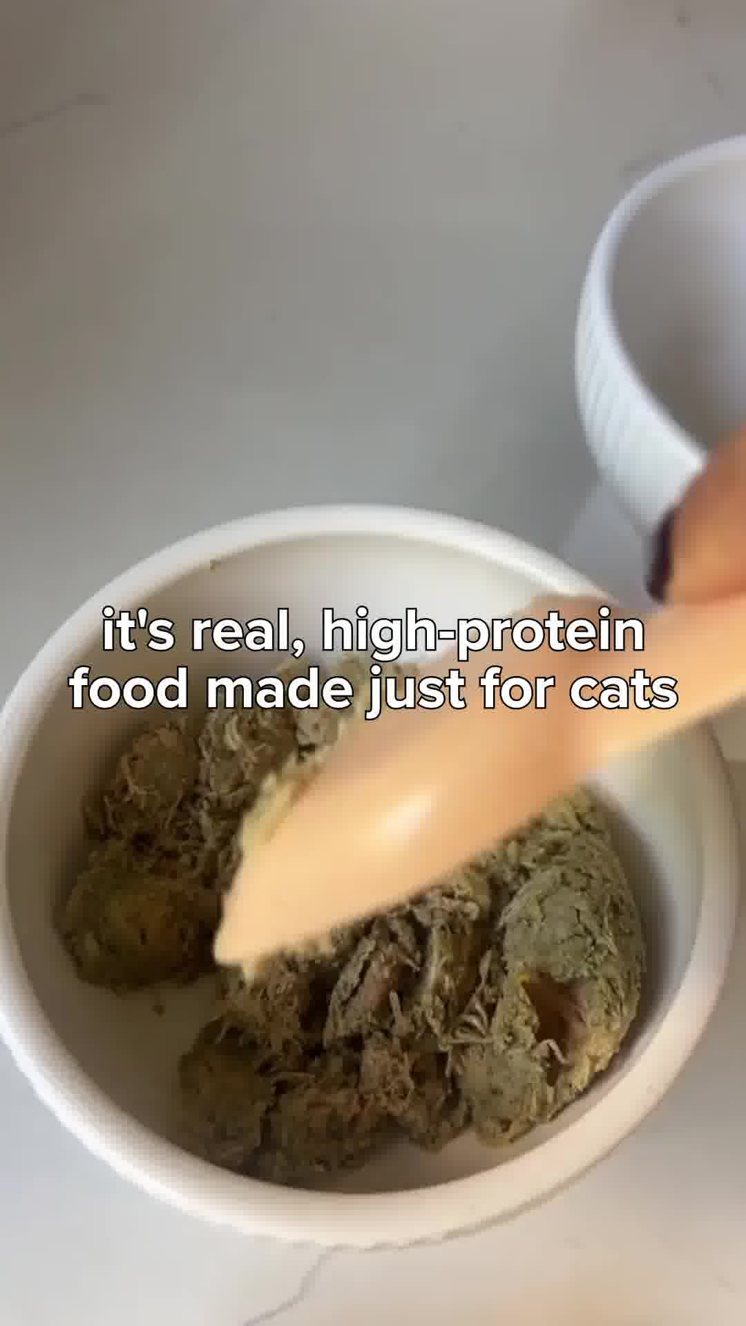 Human-Grade Fresh Cat Food
